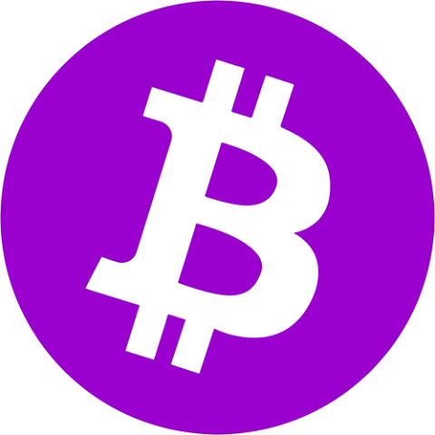 Purple Bitcoin Logo