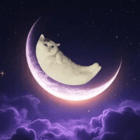 Mooncat