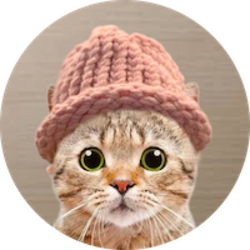 Логотип CatWifHat
