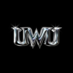 Unlimited Wealth Utility