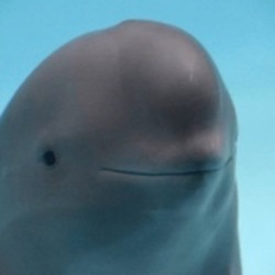 Smiling Dolphin Logo