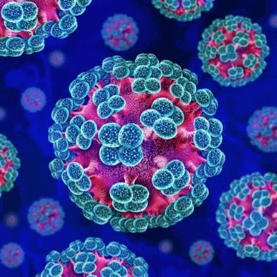 Logo de Hantavirus