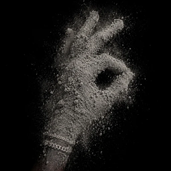 Never Sell Your Dust লোগো