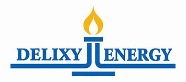 Delixy Holdings Limited