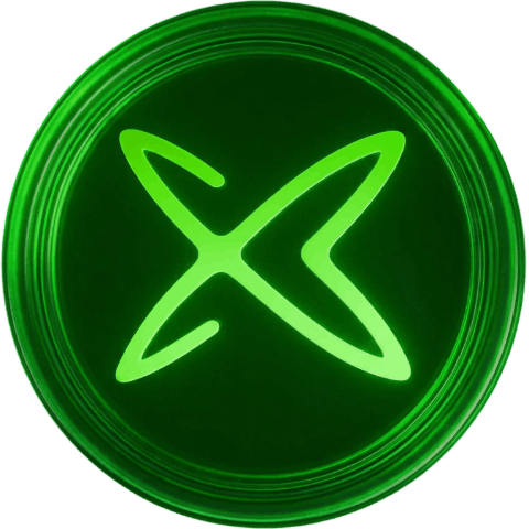 xPayLink Logo