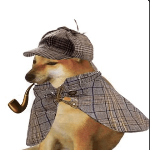 Logo pipedog