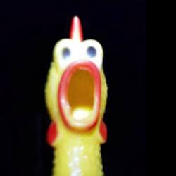 Screaming Rubber Chicken