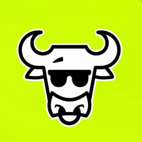 The Bull