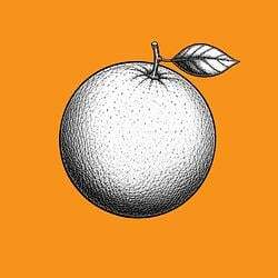 Orange Coin 圖標