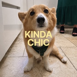 Logo de Kinda Chic