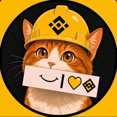 Binance Cat