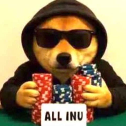 Logo de ALLINU