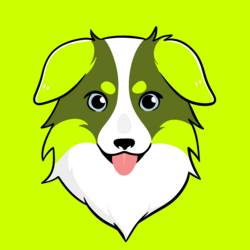 ROBDOG