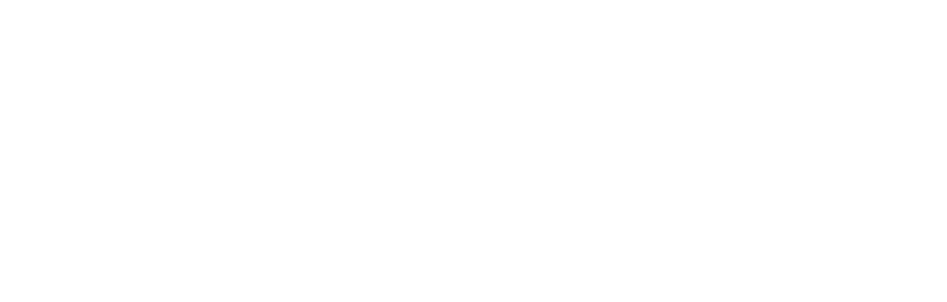 Xcel Brands Inc