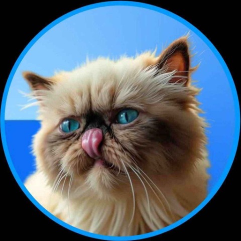 MIGGLES/USDT