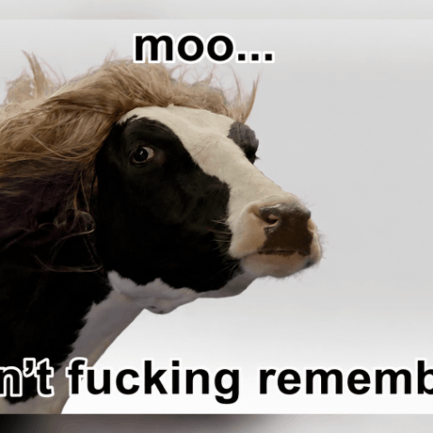 MOO/USDT
